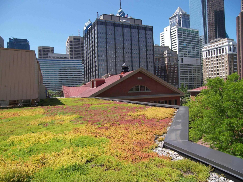 paysagiste-NANS LES PINS-min_green-roof-portfolio-4